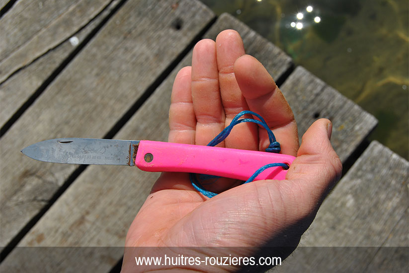 comment ouvrir une huître bouzigues etape 1