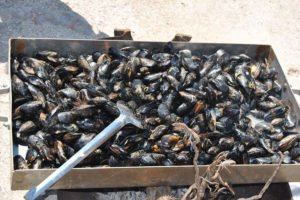 Moules de Bouzigues
